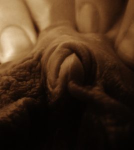 Macro shot close up of clitoris