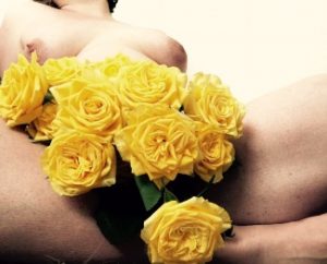 Yellow Roses between womans naked thighs