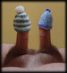 penis with tiny knitted hat on the end