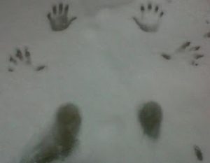 Hand and feet prints in the snow