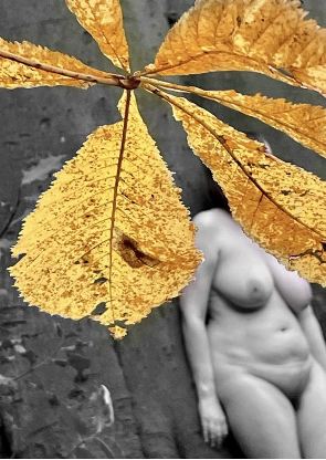 Black and white nude of woman leanding against tree with colour splash gold star leaf covering her face