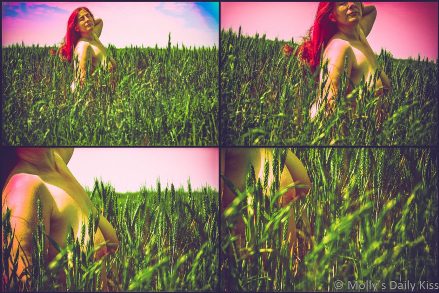 Molly in wheat fields collage with abstract colours