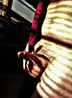 Man with erect penis and sunlight through blinds casting lined shadows on his body