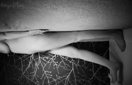 Wild appearing to be stuck to the ceiling and walking out into the room.