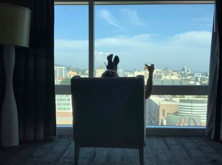 Image by Annie Savoy of woman in high heels sitting in chair in front of large window looking out over the city
