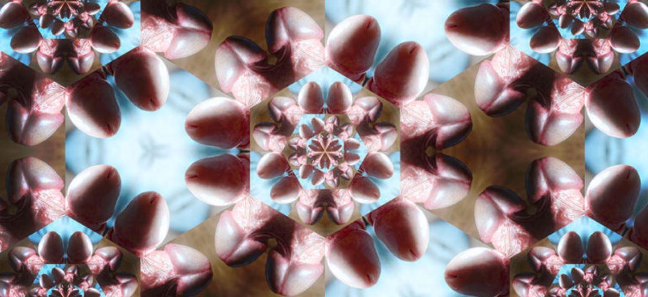 Cropped image of sub Bee's kaleidoscope of cock image