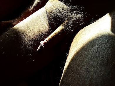 Sunlight across man's naked lap illuminating his thighs and his penis and pubic hair for weekly round-up 698