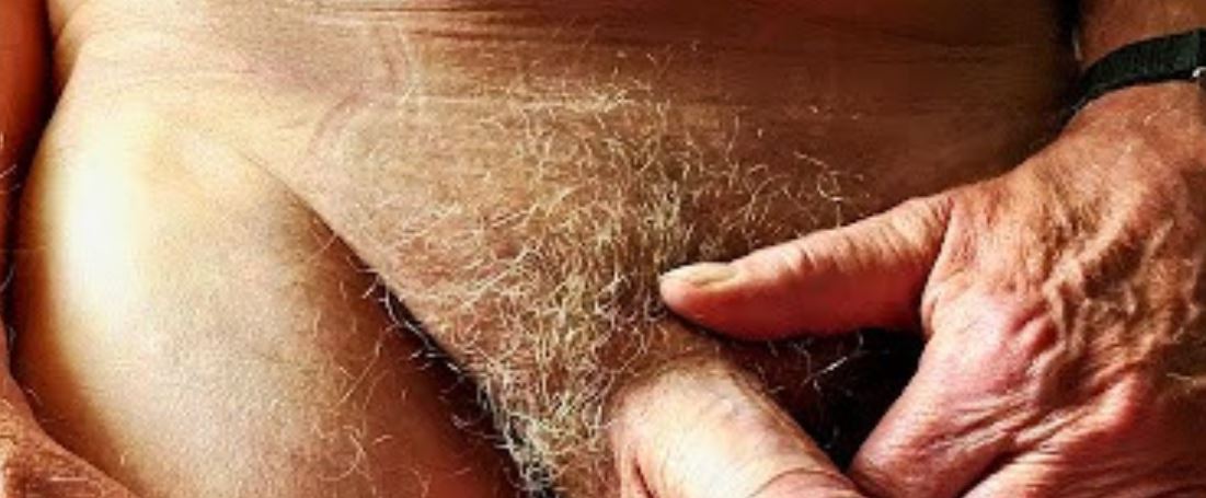 Cropped image showing mans hand by the base of his penis and his pubic hair with some grey hairs in it for weekly round-up 696