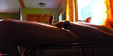 Man laying on his back with his erect penis sticking up and light from the window beyond him coming over his body for weekly round-up 701